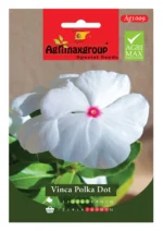 Agrimaxgroup Vinca Polka Dot Seeds (Ag1009)