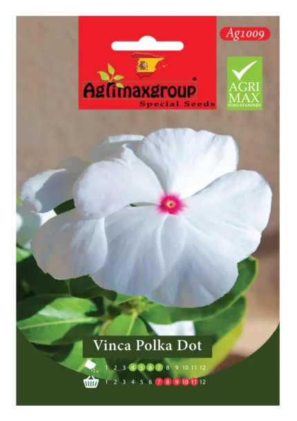 Agrimaxgroup Vinca Polka Dot Seeds (Ag1009)