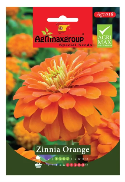 Bright Orange Blooms for a Vibrant Garden