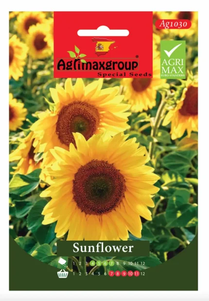 Bright, Tall Blooms for Garden Beauty