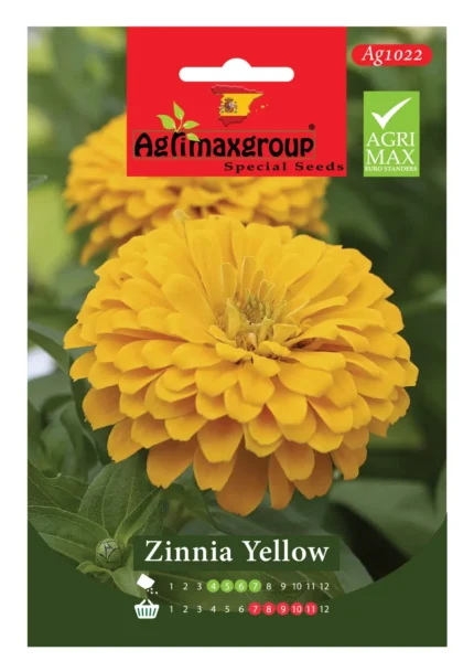 Bright & Vibrant Blooms for Sunlit Gardens