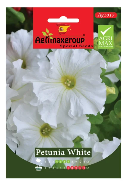 Classic White Blooms for a Crisp Garden Display