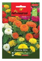 Colorful Blooms for Vibrant Gardens