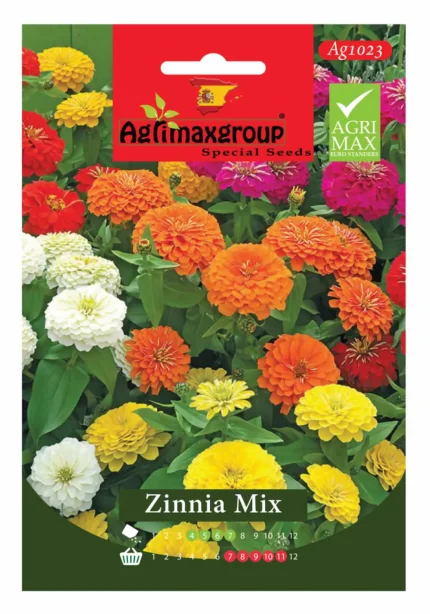 Colorful Blooms for Vibrant Gardens