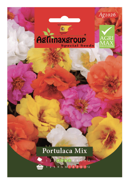 Colorful, Sun-Loving Blooms