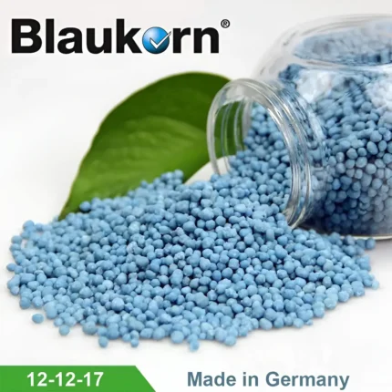 blaukorn 12 12 17