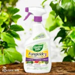 garden safe fungicide 3