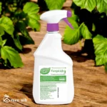 garden safe fungicide 3