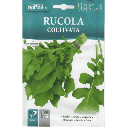 rucola seeds