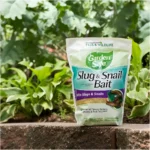 garden safe slug
