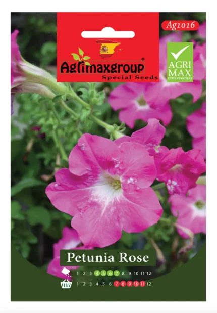 Soft Pink Blooms for a Graceful Garden Touch