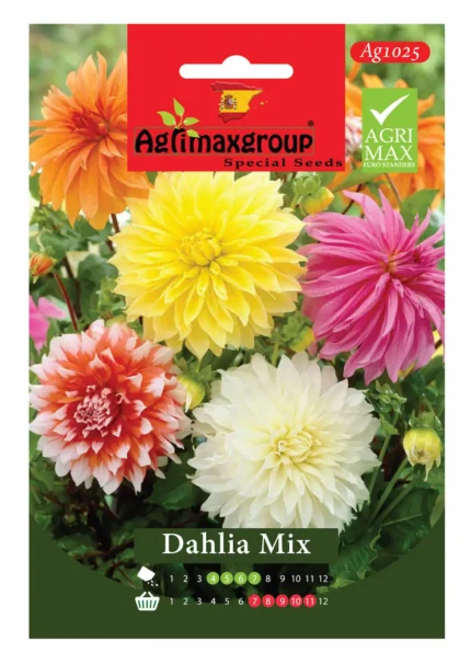 Vibrant Plume-Like Blooms for Stunning Garden