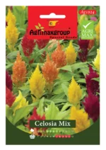 Vibrant Plume-Like Blooms for Stunning Garden