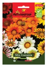 Vibrant Sun-Loving Flowers