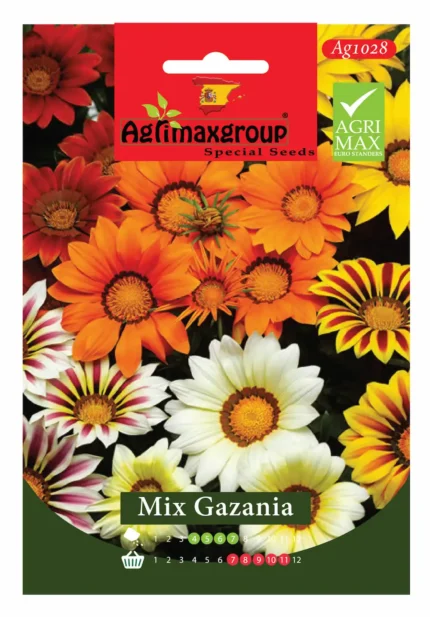 Vibrant Sun-Loving Flowers