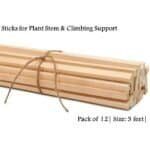 pack of 12 wooden