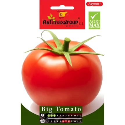Big Tomato Seeds