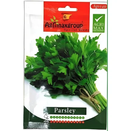 Fresh Parsley Seeds