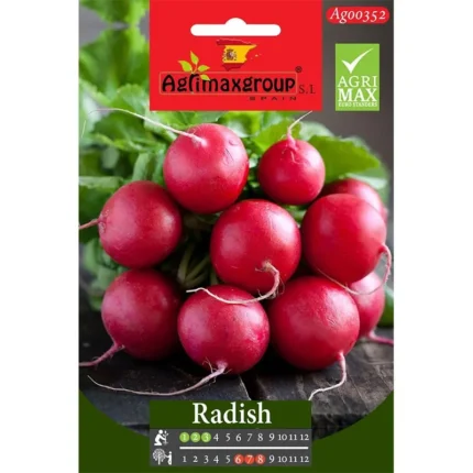 Fresh Radish Seeds
