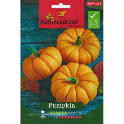 High-Yield Pumpkin Seeds