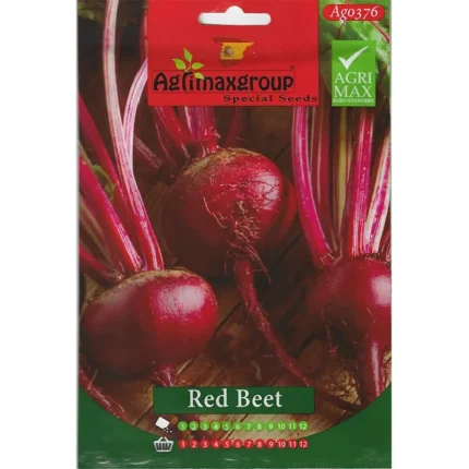 High-Yield Red Beet Seeds