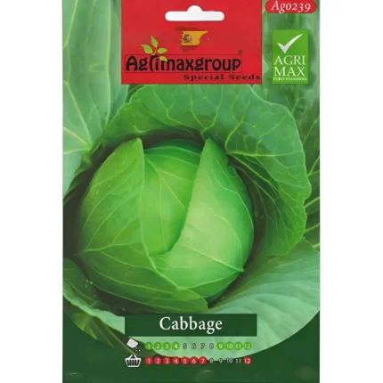 Premium Cabbage Seeds
