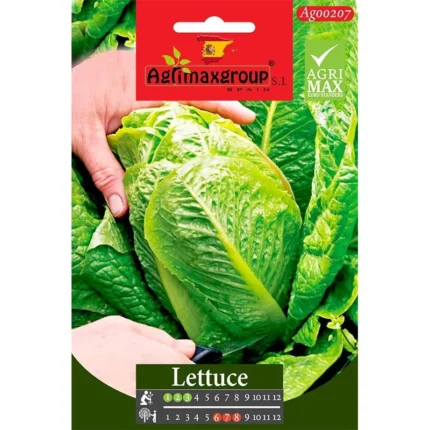 Premium Lettuce Seeds