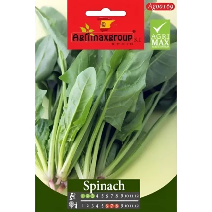 Premium Spinach Seeds - Fast-Growing