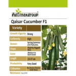 Qaysar F1 Hybrid Cucumber Seeds – High-Yield and Disease-Resistant - Image 2