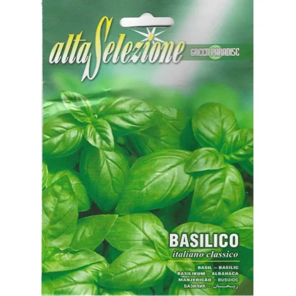 Basilico Italiano Classico