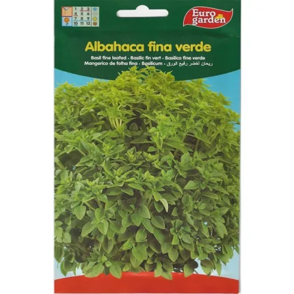 Basil Fine Leafed Premium