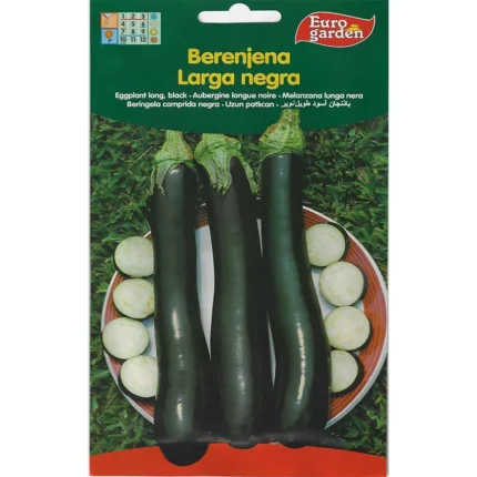 black-eggplant-long-premium