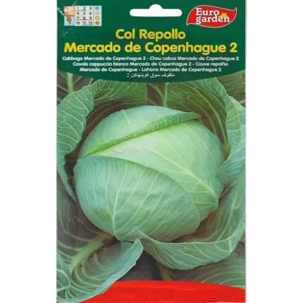 Cabbage Mercodo De Copenhague 2