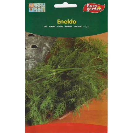 Dill Premium Quality seed
