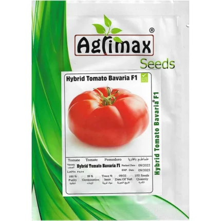 Hybrid Tomato Bavaria