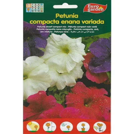 Petunia Dwarf Compact Mix