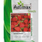 Red Paradise Strawberry