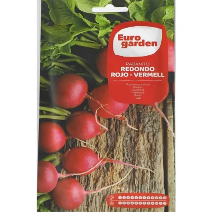 red-round-radish