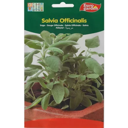Salvia Officinalis Premium