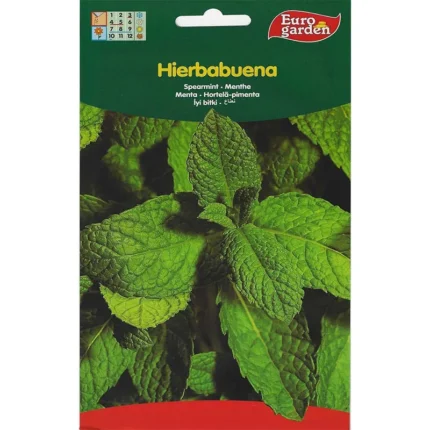 Spearmint Premium Quality Seeds