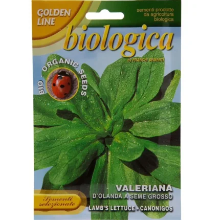 Valeriana D’Olanda A Seme Grosso