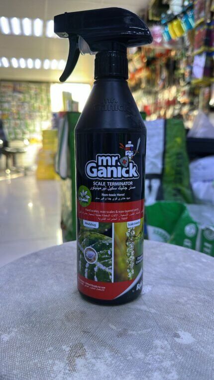 Mr. Ganick Scale Terminator