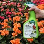 organic fungicide spray – safer® garden fungicide (32 fl oz) | made in usa | ready to use